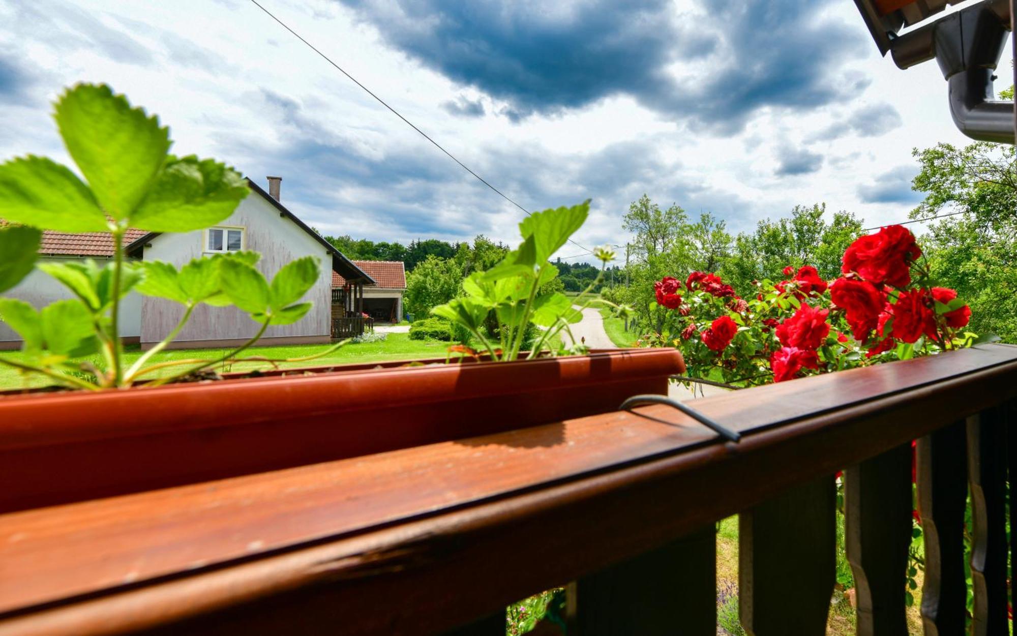 Apartment Ivano Rakovica Eksteriør bilde