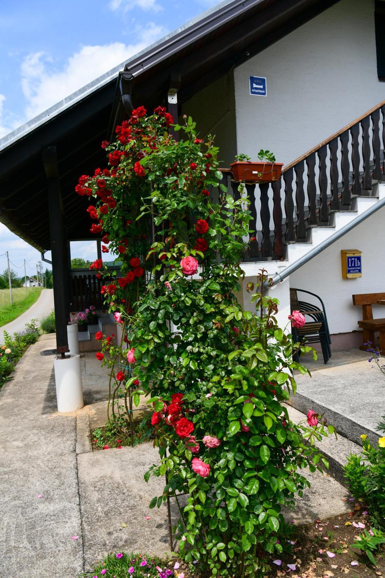 Apartment Ivano Rakovica Eksteriør bilde